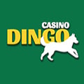 Dingo casino
