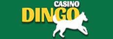 Dingo casino